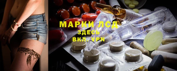 прущие крисы Горняк